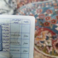 راننده پایه یک