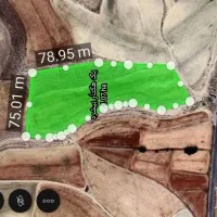 ایفروشم هر خویه