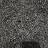 کاه خار درجه یک