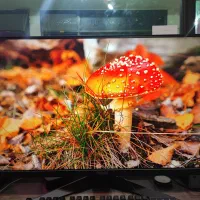 مانیتور گیمینگ ASUS|قطعات و لوازم جانبی رایانه|اندیشه, اندیشه فاز ۳|دیوار