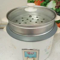 پلوپز وبخارپز