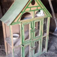 جفت کن کبوتر|لوازم جانبی حیوانات|گلپایگان, |دیوار