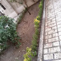 خدمات‌باغبانی‌در‌‌‌سراسر‌تهران|خدمات باغبانی و درختکاری|تهران, سهروردی|دیوار