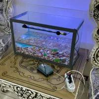 اکواریوم به همراه لامپ و دستگاه اکسیژن
