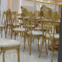 نیرو کار خانم برای تالار پذیرایی