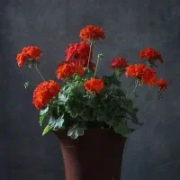 جدیدترین سایت طلا