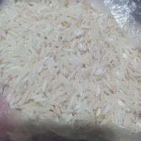 برنج هاشمی گرم محصول امسال|خوردنی و آشامیدنی|رشت, پستک|دیوار
