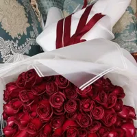 گل رز تازه و عمده|گل و گیاه طبیعی|شیراز, جوادیه|دیوار
