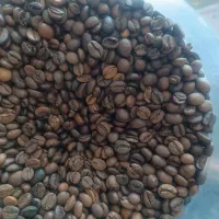 فروش دستگاه و قهوه