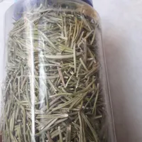رزماری خشک شده و تازه **حراج **|گل و گیاه طبیعی|ابهر, |دیوار