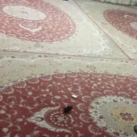 ۴ تخته فرش ۱۲ متری درحدنو