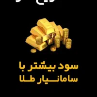 بیمه زندگی بر پایه طلا،سریعترین روش بازنشستگی|خدمات مالی، حسابداری، بیمه|شهرکرد, |دیوار