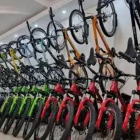 وینگس شرایطی/۲۶حرفه ای