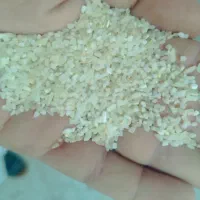 نیم دانه برنج کامفیروزی|خوردنی و آشامیدنی|مرودشت, ثبت احوال|دیوار