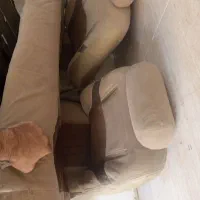 درب صندوق عقب پژو وصندلی یکدست کامل|قطعات یدکی و لوازم جانبی|پاکدشت, پاکدشت (مامازند)|دیوار