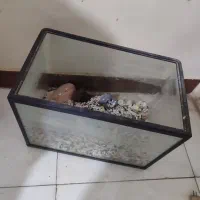 اکواریوم شیشه خم شرکتی