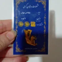 گوشواره طلا و سکه|جواهرات|کرمانشاه, |دیوار