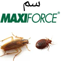 سم ساس سوسک موش مگس مورچه