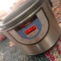 پلوپز بخارپز