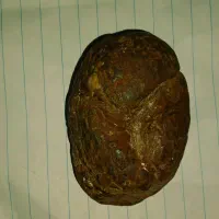 سنگ ،نشان،حاکمیت|کلکسیون اشیاء عتیقه|شاهیوند, |دیوار