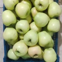 سیب