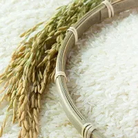 برنج هاشمی درجه1 دانه درشت بدون سَم پاشی