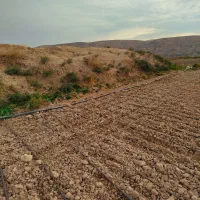 زمین کشاورزی برای باغچه|فروش زمین و ملک کلنگی|نورآباد ممسنی, |دیوار