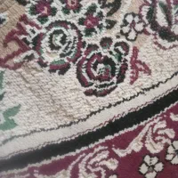 شستوی قالی تمیز