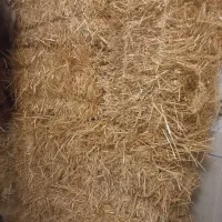 کاه بسته بندی شده