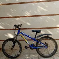 دو عدد دوچرخه