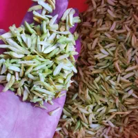 فروش خلال پسته خانگی و خلال بادام اصل|خوردنی و آشامیدنی|لاهیجان, حزین|دیوار
