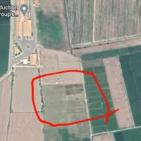 زمین-شالیزاری-با-چاه-آب-پروانه-دار