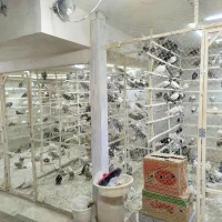 کبوتر جدیدرسید ۸/۱۹حراج سواکن و جداکن ۱۲۰