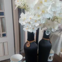 گل و گلدان نوی نو