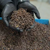 گردو تویسرکان کره بادام زمینی ارده کنجد عسل کشمش|خوردنی و آشامیدنی|محمدشهر, محمدشهر|دیوار