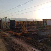 باغ فروشی دشت بجد مدارک مرتب نقد یا معاوضه ماشین|فروش دفتر صنعتی، کشاورزی، تجاری|بیرجند, |دیوار