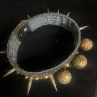 قلاده دوسه تا از خار هاش کم شده|لوازم جانبی حیوانات|گنبد کاووس, |دیوار