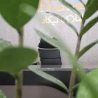 اجاره تجاری ۶۵متری دو دهنه بالکندار اطلسی (۳ساله)