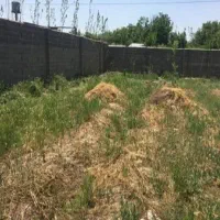 300متر زمین مناسب سرمایه گذاری فشند بام شهر جدید