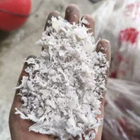 استخدام کندور کار