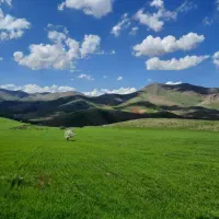 زمین کشاورزی آبی ودیمی