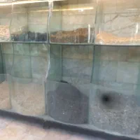 قفسه و دکور آجیل|فروشگاه و مغازه|مشهد, نیزه|دیوار