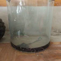 آکواریوم/ آکواریوم شیشه خم