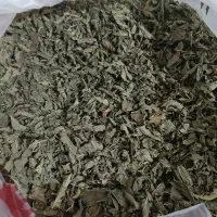 نعنا و روزماری خشک