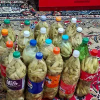 ترشی بیلهرتجیک