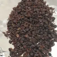 مویز کشمش|خوردنی و آشامیدنی|سردرود, |دیوار