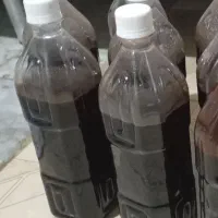 برنج طارم،آب نارنج،رب انار،رب کندس،نارنگی