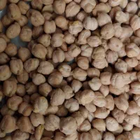 نخوددرجه یک برداشت امسال|خوردنی و آشامیدنی|بهار, |دیوار