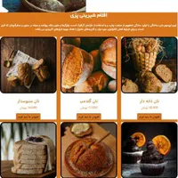 طراحی سایت با قیمت بسیار مناسب و پشتیبانی 24 ساعته
