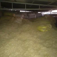 فروش کاه|عمده‌فروشی|لالی, |دیوار